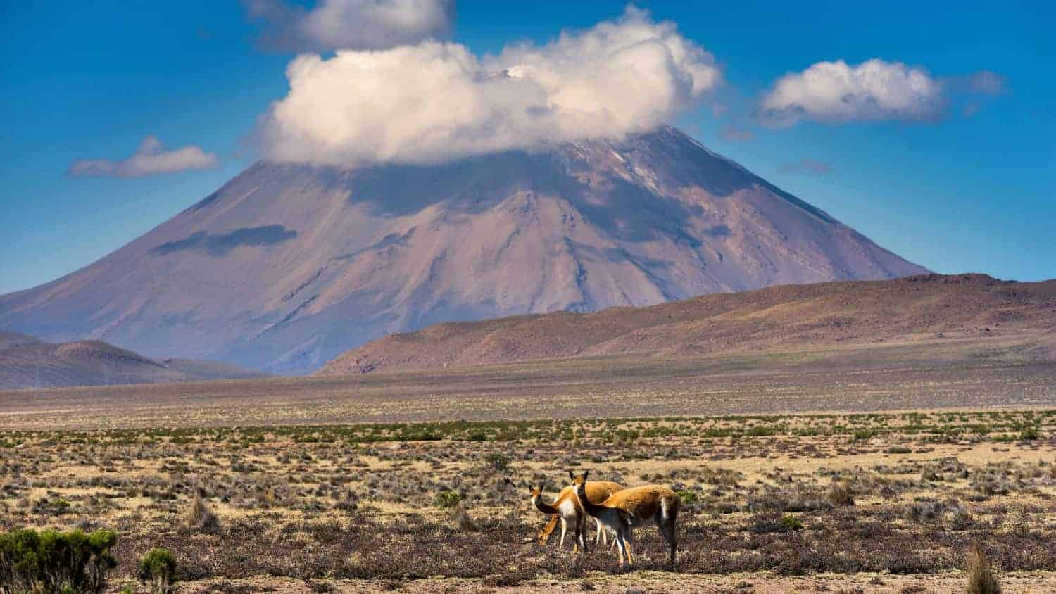 Puno – Arequipa.